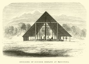 Habitation des Indiens Conibos à Paruitcha - Edouard Riou